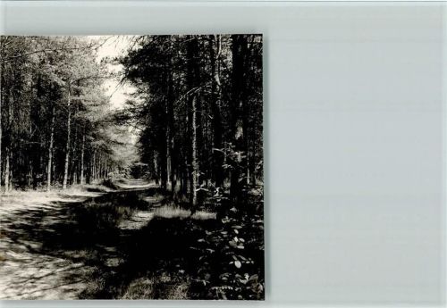Groß Reken Foto 9x9cm