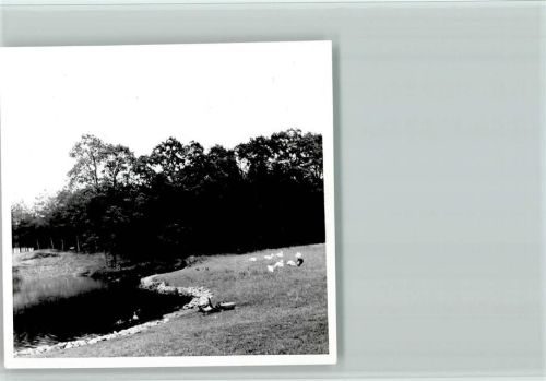 Metelen Foto 9x9cm
