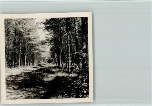 Groß Reken Foto 9x9cm AKU2