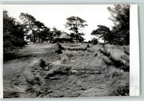 Wardenburg Foto