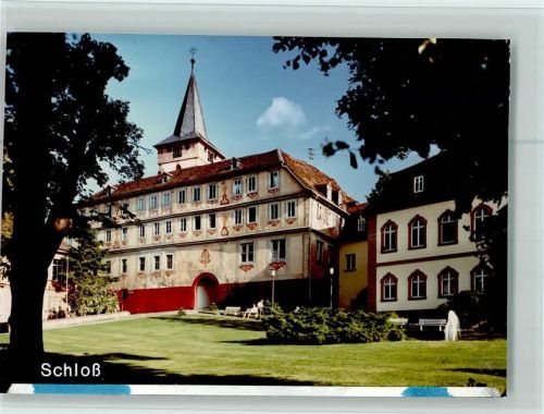Bad König Schloß