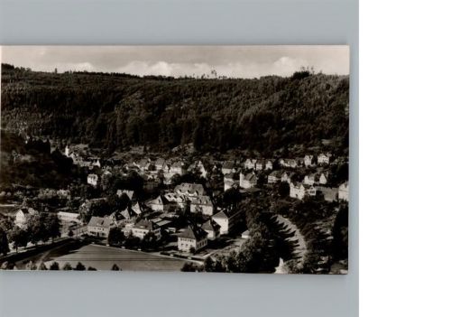 Neuenbürg Schwarzwald Fotoaufnahme AKU1