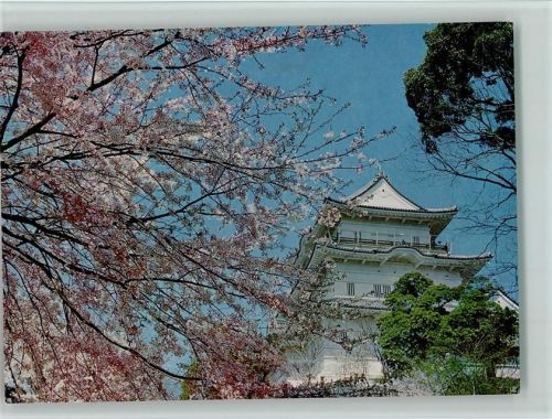 Frühlingsblütenpracht am Himeji Schloß