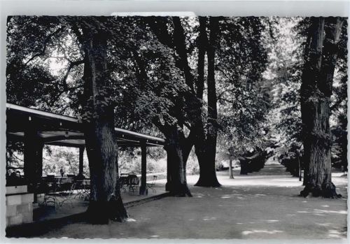 Braunfels