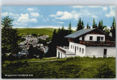 Zwiesel Gasthof Zwieseler Alm