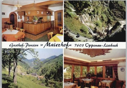Lierbach Gasthaus Pension Maierhof