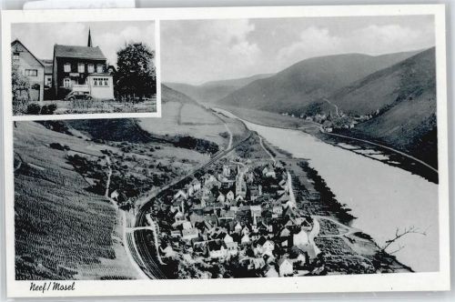 Neef Gasthaus Nelius