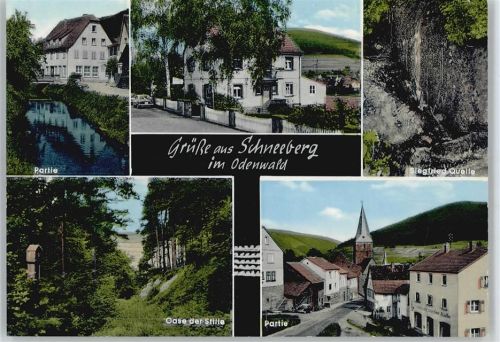 Schneeberg Gaststätte, Pension, Café Odenwald