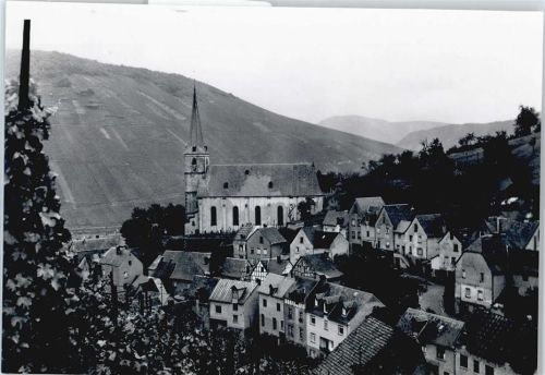 Briedel Foto