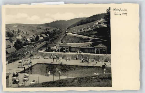 Tanne Schwimmbad Berg Wiese Wald