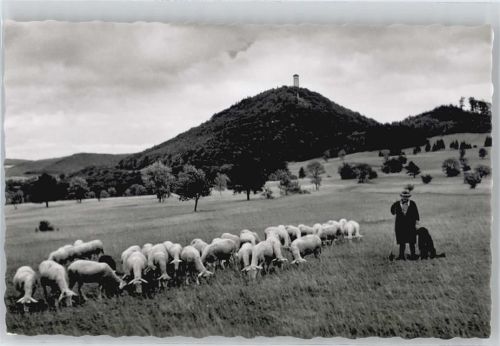 Gönningen Turm Feld Schaf Baum