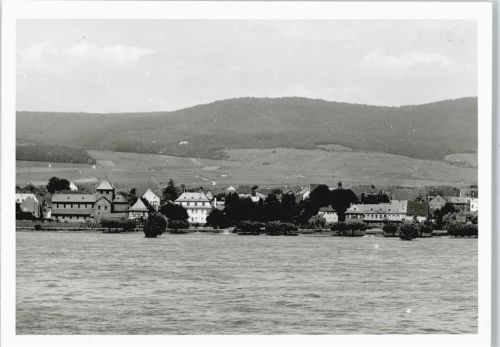 Mittelheim Foto-Karte
