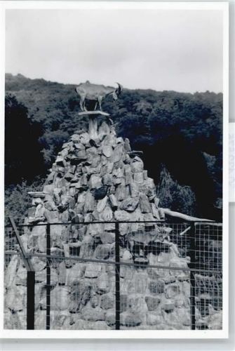 Kronberg Foto Baum Zaun