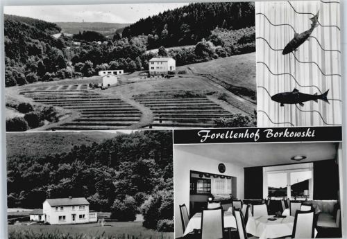 Völkershain Forellenhof Borkowski