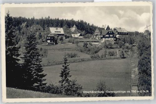 Oberbärenburg Feld Baum Haus