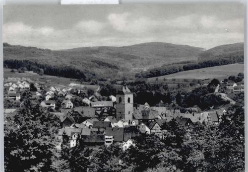 Ziegenhain Berg Baum Haus