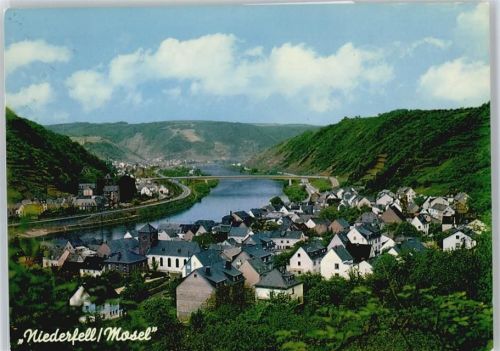 Niederfell Fluss Panorama Brücke Berg Haus