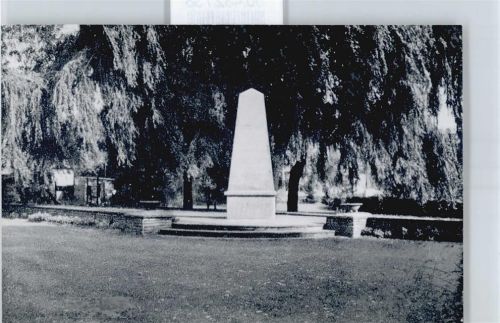 Schneidhain Foto Denkmal Baum Wiese