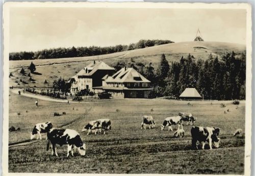 Waldkirch Berghotel Kandel