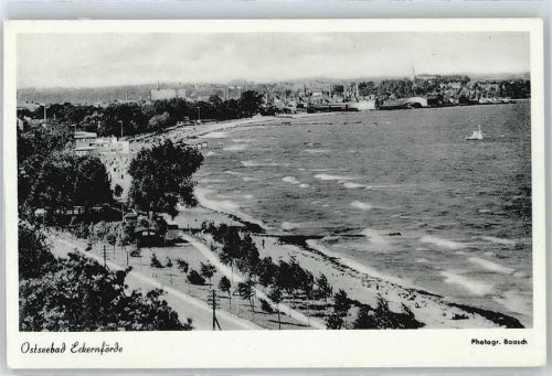 Eckernförde Meer Strand Baum Schiff Haus
