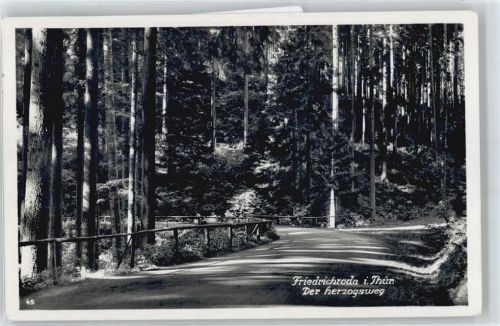 Friedrichroda Wald Straße Zaun