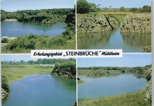 Mühlheim Fluss Wiese Baum