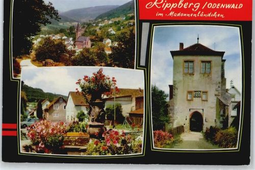 Rippberg Madonnenländchen, Stadtansichten
