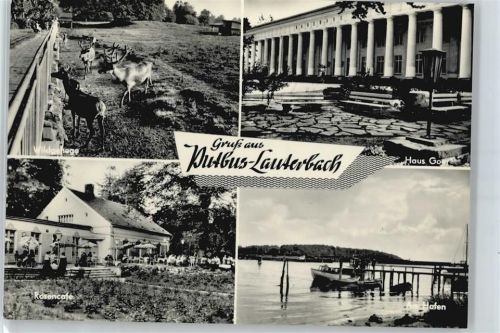 Putbus Rosencafe , Haus Goer , Wildgehege