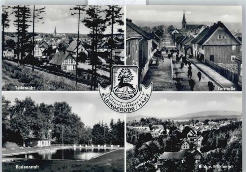Elbingerode Torstraße Panorama Schwimmbad