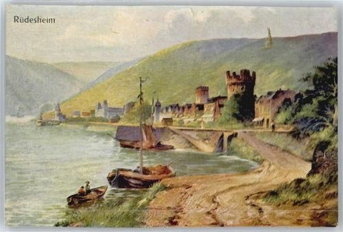 Rüdesheim Fluss Boot Berg