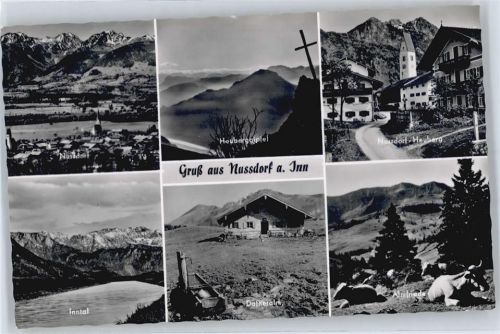 Nußdorf Heuberggipfel, Inntal, Almfriede, Kühe, Heuberg