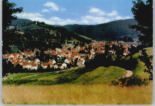 Wallenfels Panorama Berg