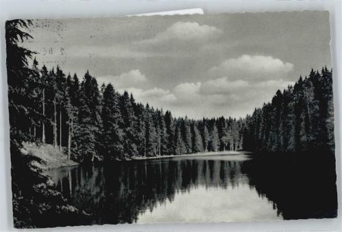 Braunlage Silberteich