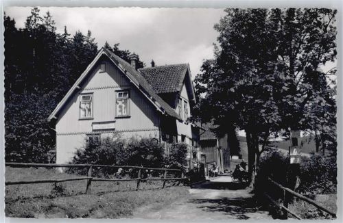 Festenburg Gasthaus zur grünen Tanne