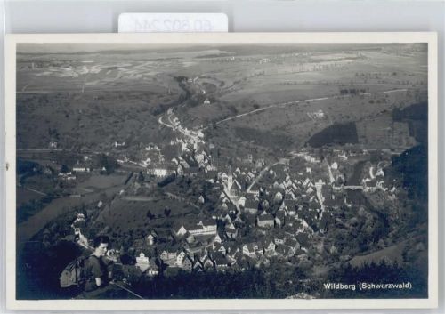Wildberg Luftaufnahme