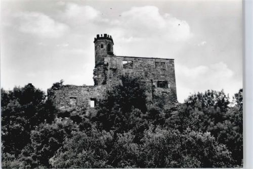 Nörten-Hardenberg Burgruine