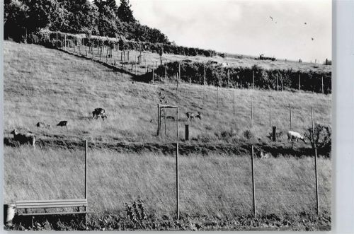 Kirchheim Wildgehege