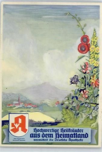 Heilkräuter , Apotheke