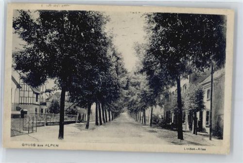 Alpen Linden-Allee