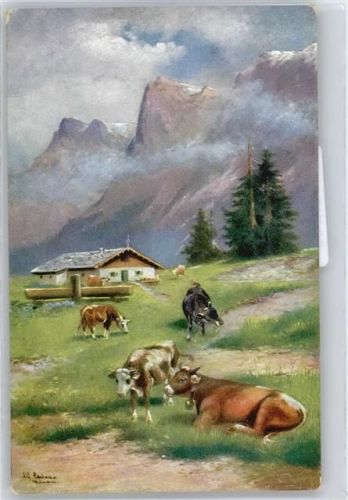 Kühe auf Bergwiese