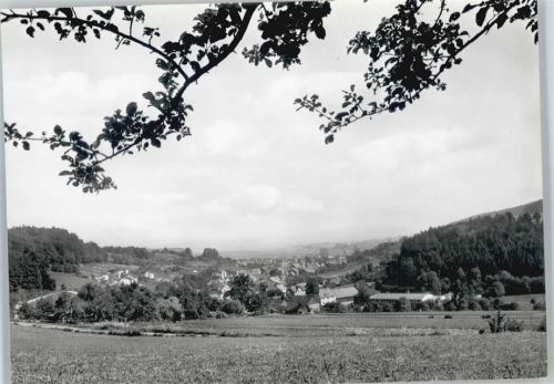 Lauenberg Gesamtansicht