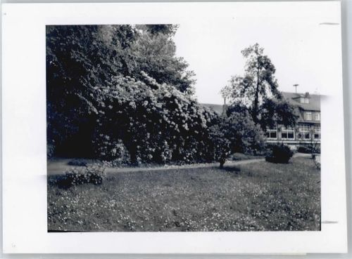 Huntlosen Foto mit Negativ
