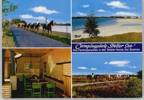 Stelle Campingplatz Steller See, Pferd