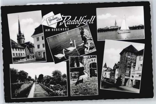Radolfzell Storch, Schwan, Kirche