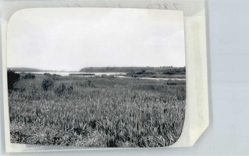 Ankelohe Foto mit Negativ