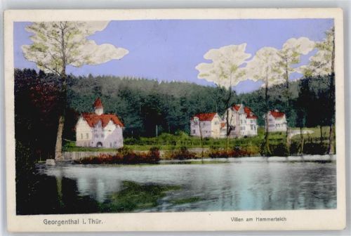 Georgenthal Villen am Hammerteich