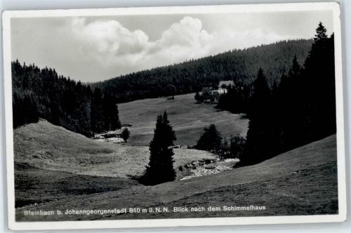Johanngeorgenstadt Schimmelhaus , Steinbach