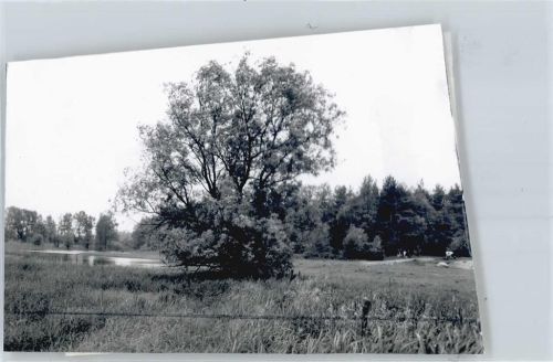 Langendorf Foto mit Negativ