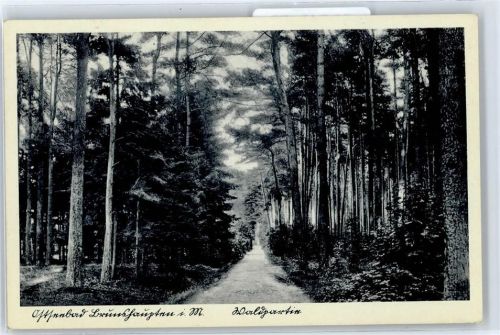 Brunshaupten Waldweg