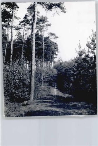 Leeseringen Foto mit Negativ